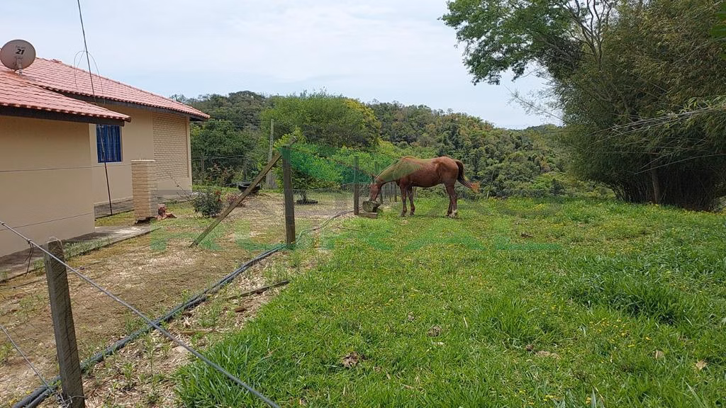 Small farm of 45 acres in Itapetininga, SP, Brazil