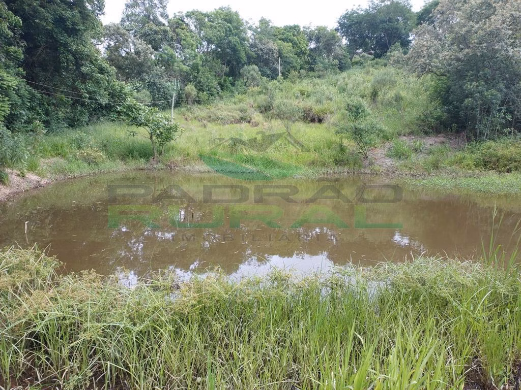 Small farm of 45 acres in Itapetininga, SP, Brazil