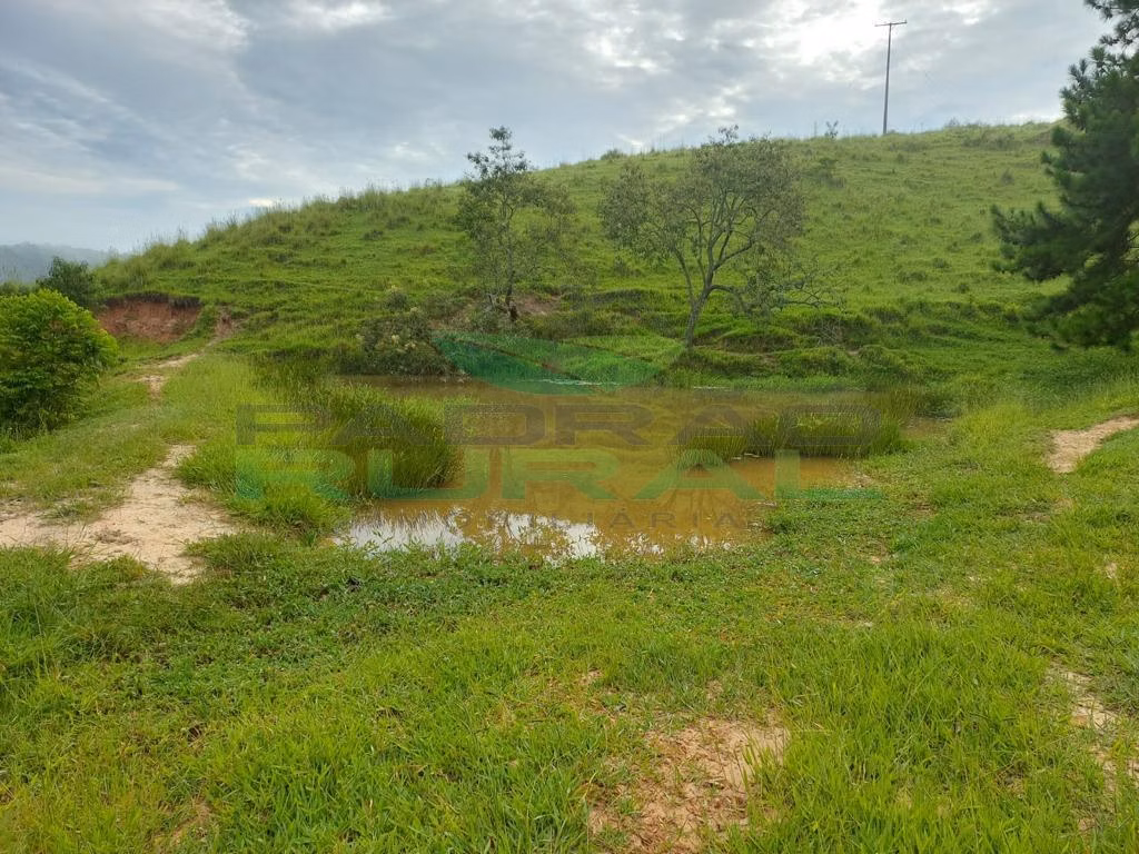 Small farm of 45 acres in Itapetininga, SP, Brazil