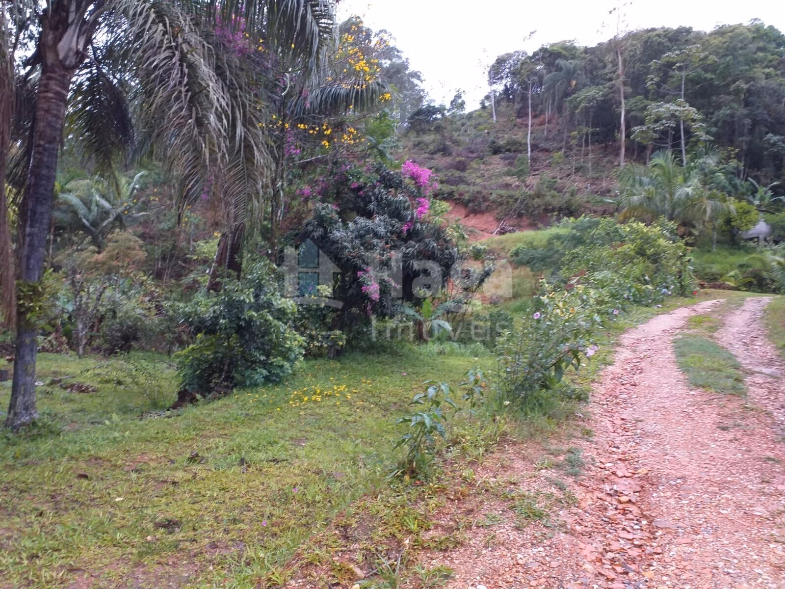 Farm of 13 acres in Brusque, SC, Brazil