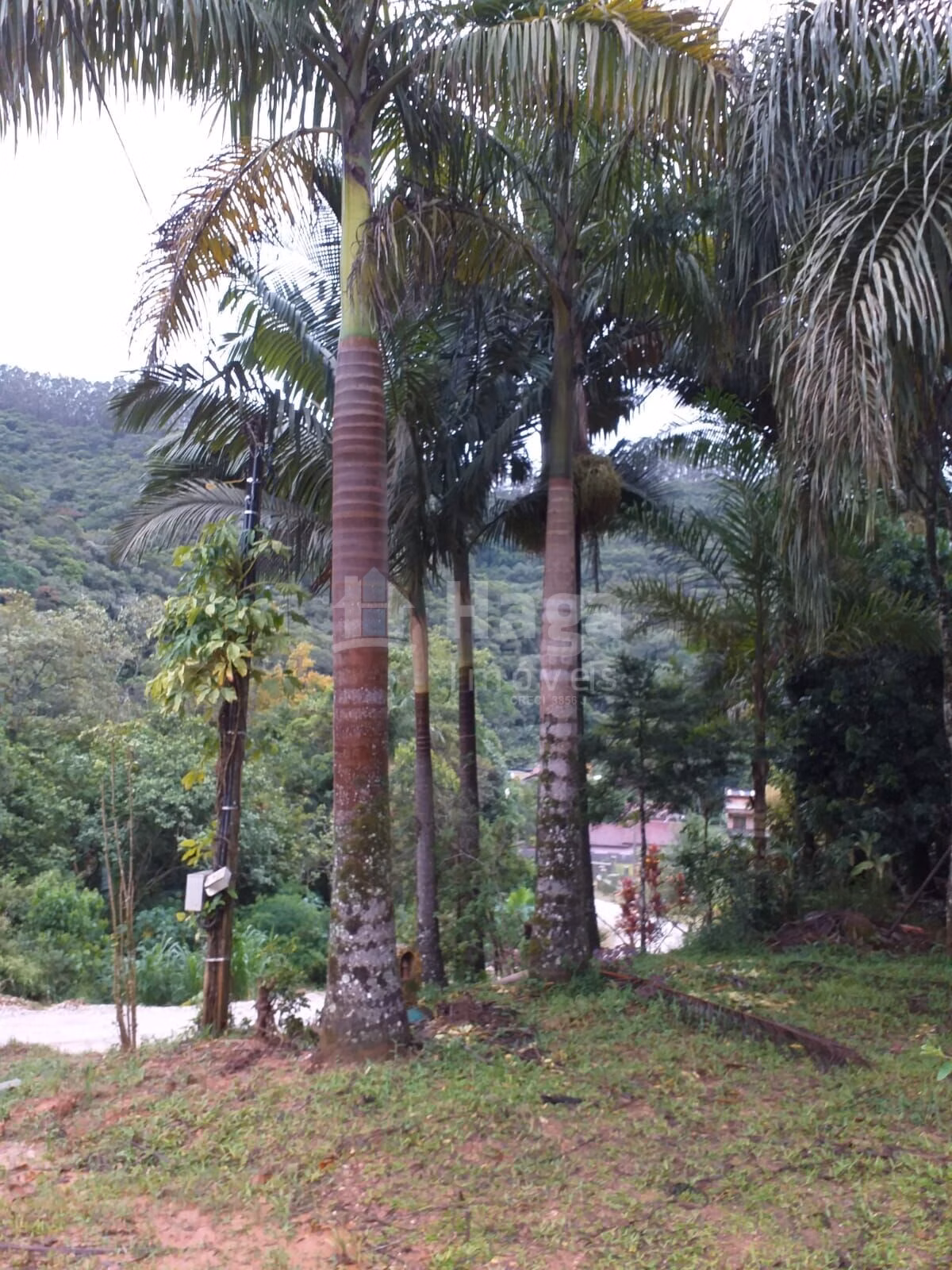 Farm of 13 acres in Brusque, SC, Brazil