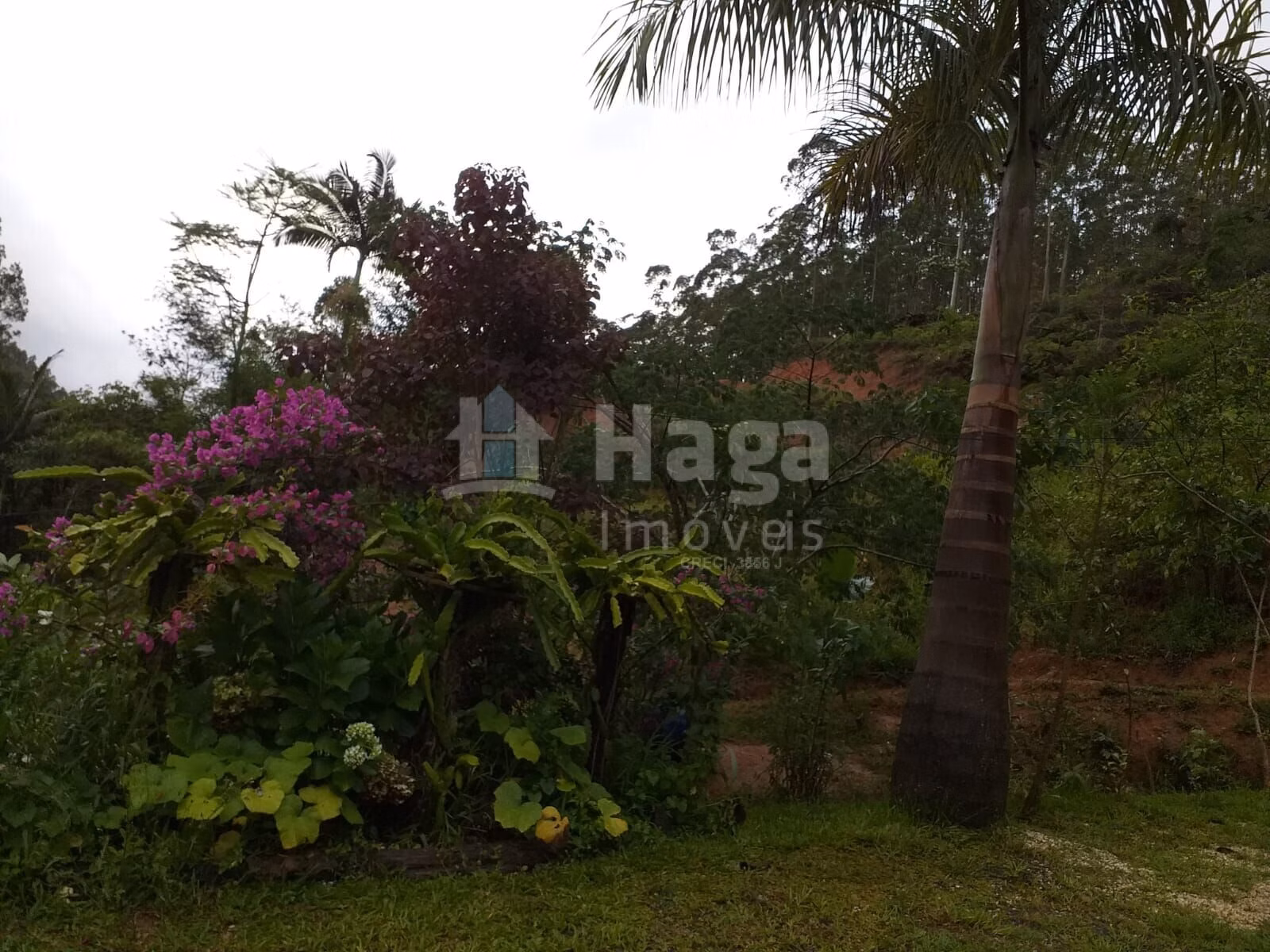 Fazenda de 5 ha em Brusque, SC