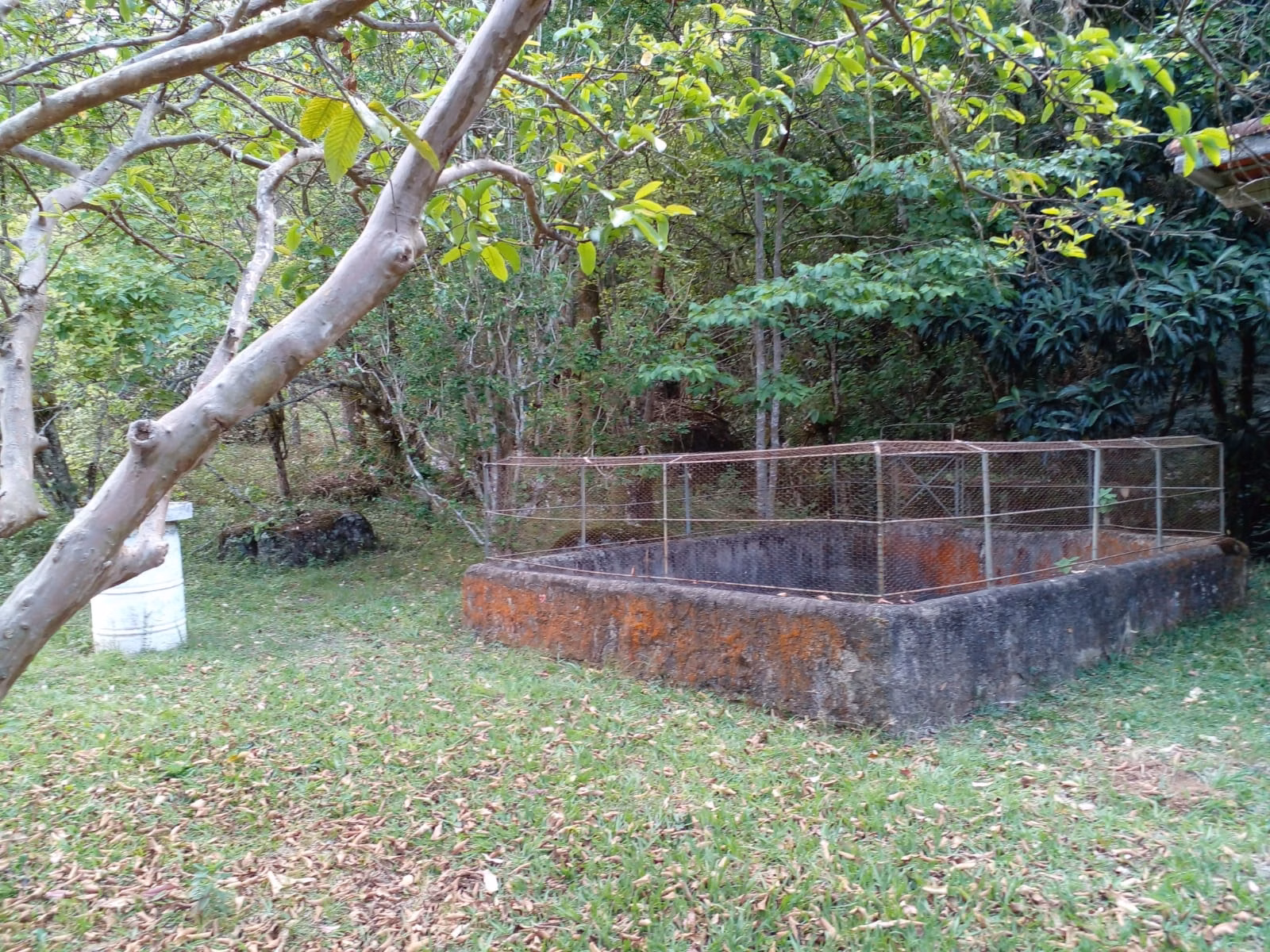 Sítio de 7 ha em Sapucaí-Mirim, MG