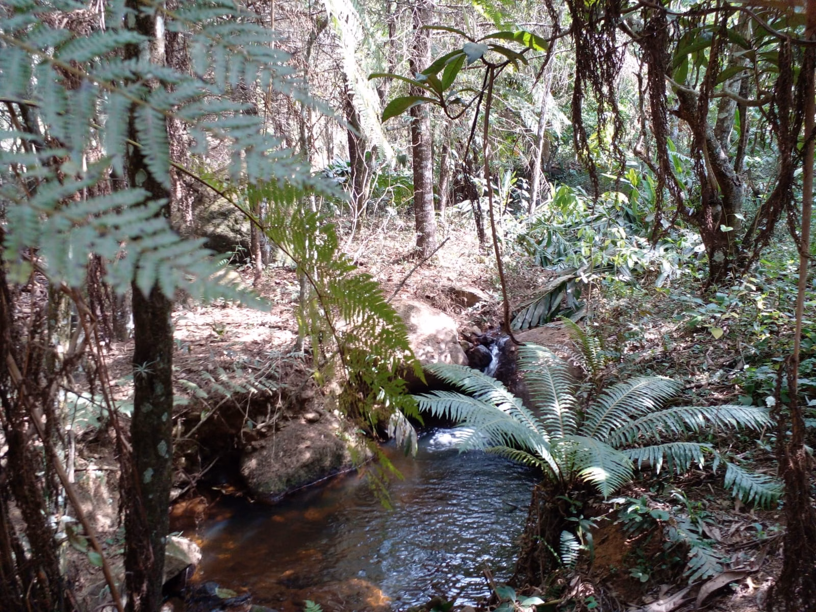 Sítio de 7 ha em Sapucaí-Mirim, MG