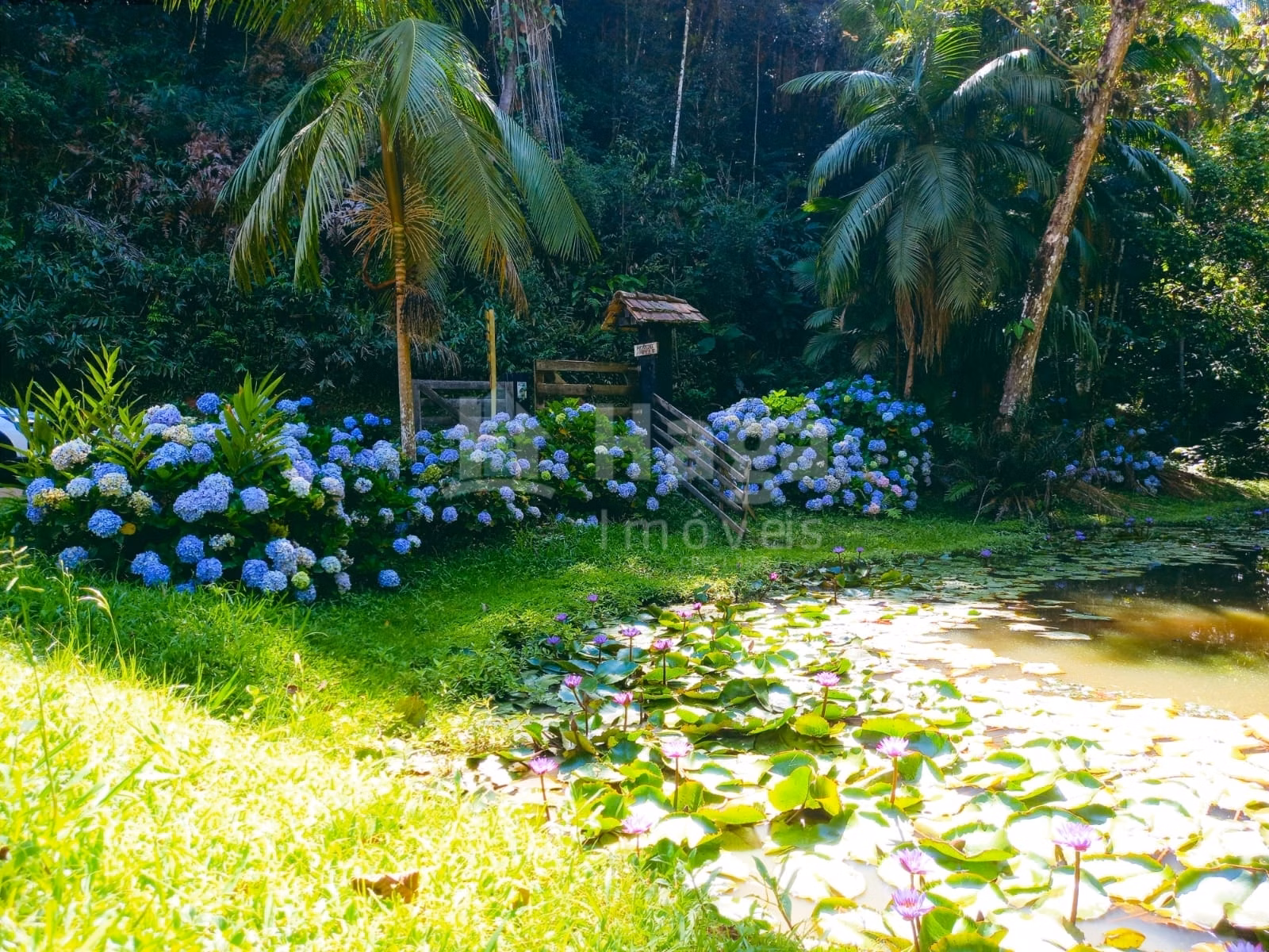 Fazenda de 17 ha em Ibirama, SC