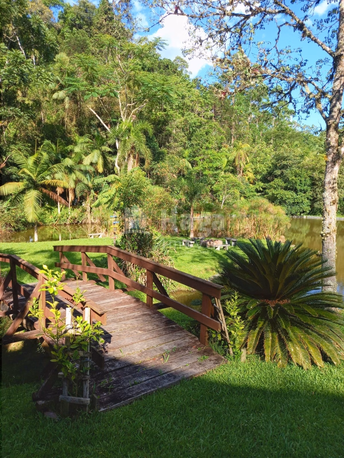 Fazenda de 17 ha em Ibirama, SC