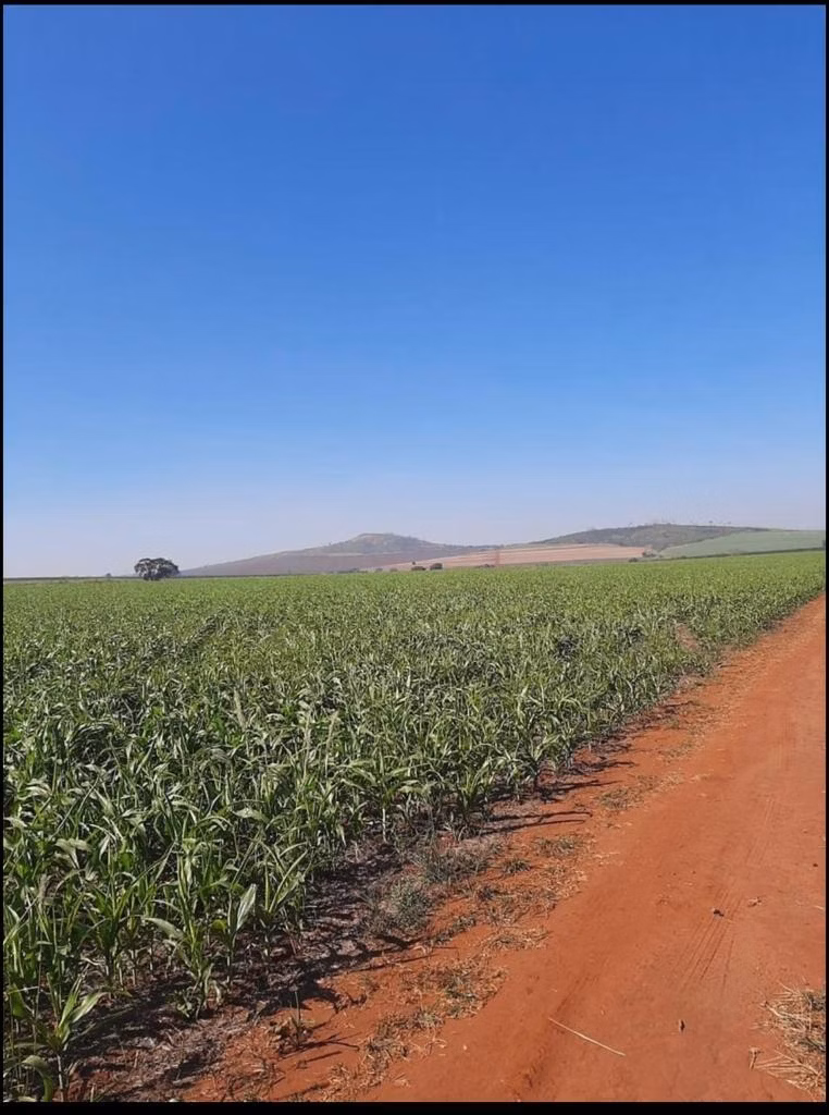 Fazenda de 128 ha em São João da Boa Vista, SP
