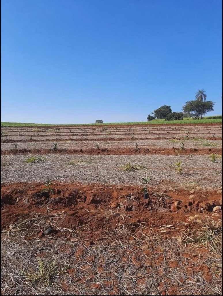 Fazenda de 128 ha em São João da Boa Vista, SP