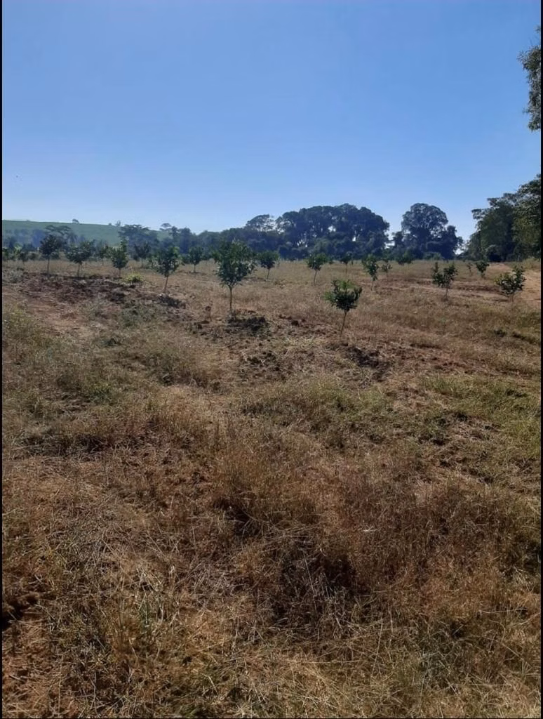 Fazenda de 128 ha em São João da Boa Vista, SP