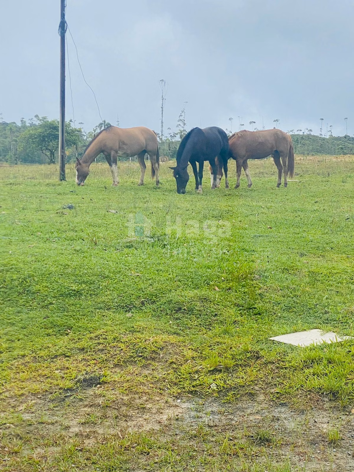 Farm of 1,942 acres in Timbó, SC, Brazil