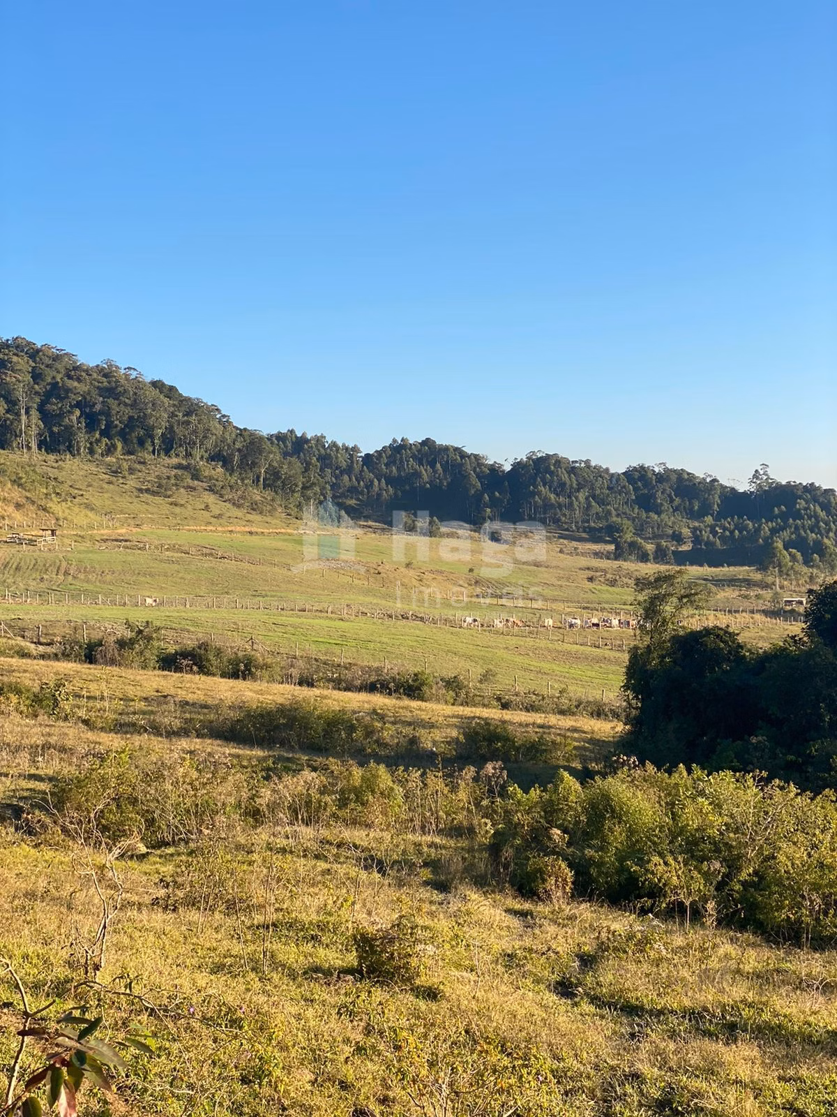 Farm of 1,942 acres in Timbó, SC, Brazil