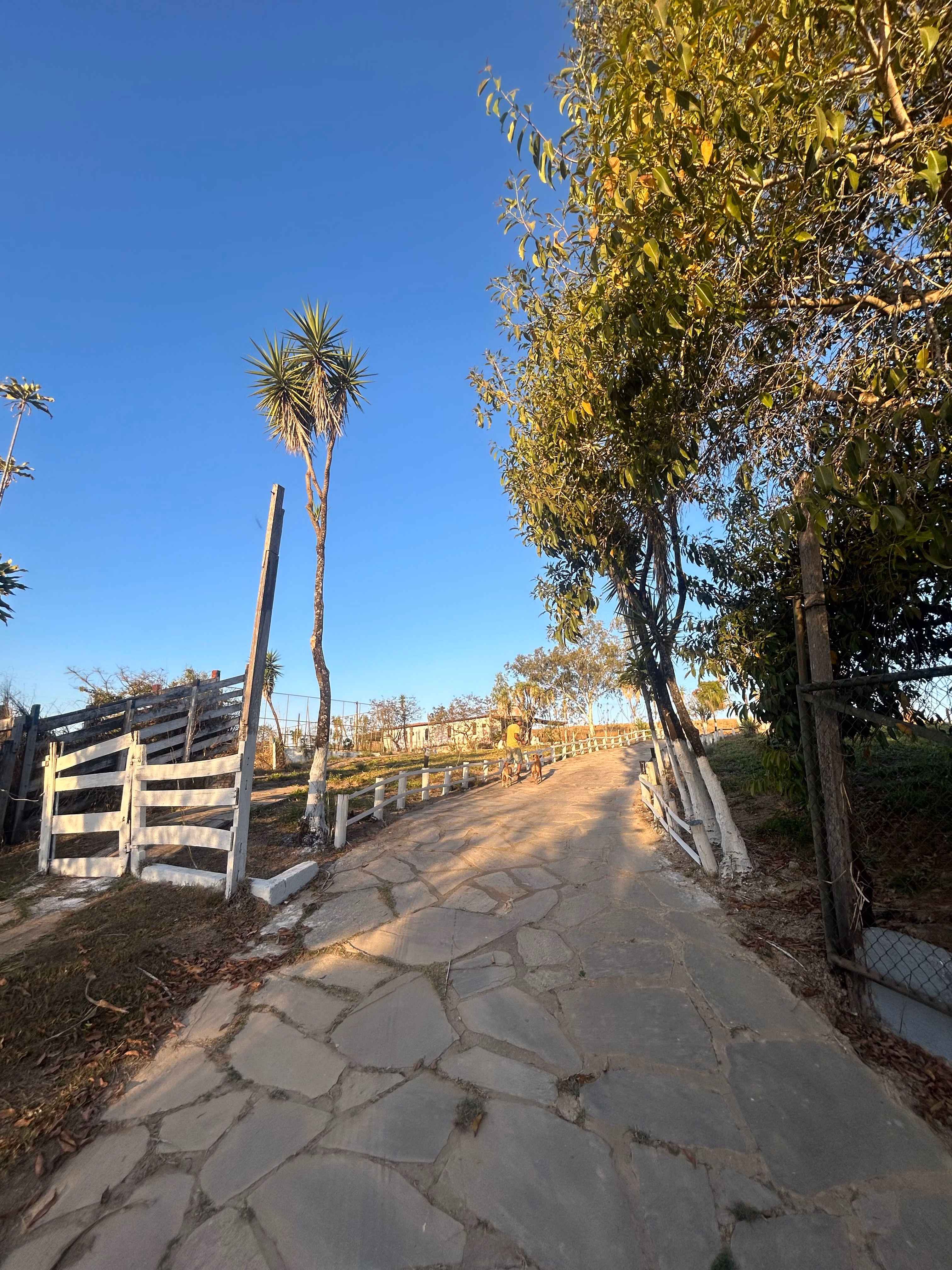 Small farm of 6 acres in Cidade Ocidental, GO, Brazil