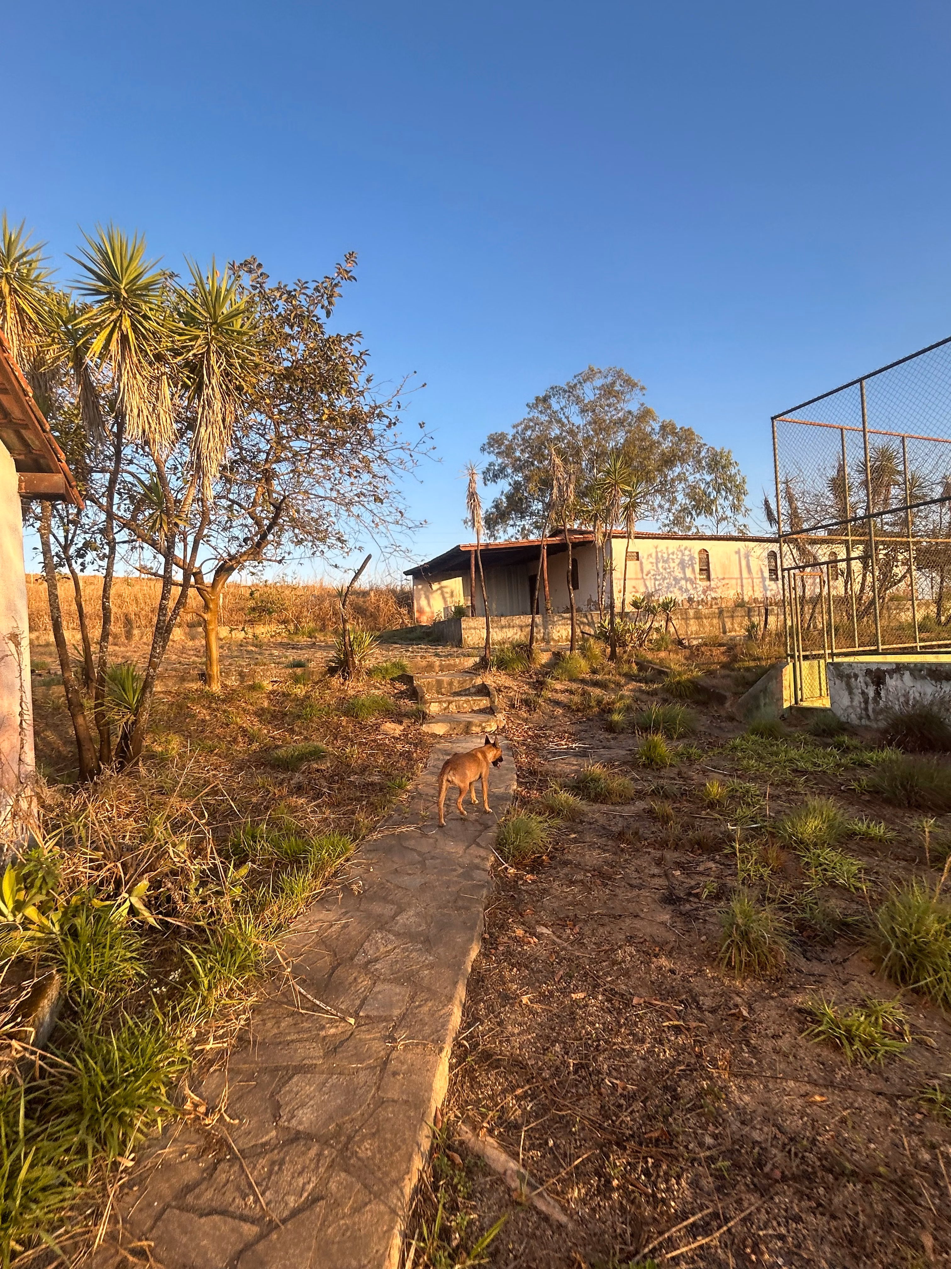 Small farm of 6 acres in Cidade Ocidental, GO, Brazil