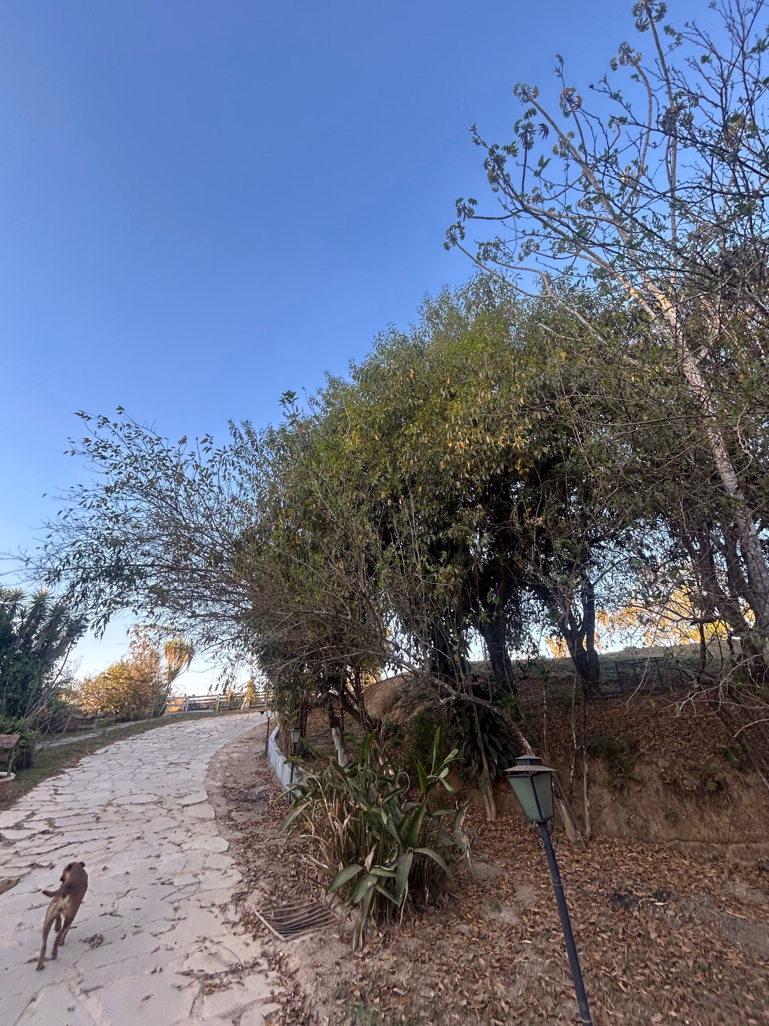 Small farm of 6 acres in Cidade Ocidental, GO, Brazil