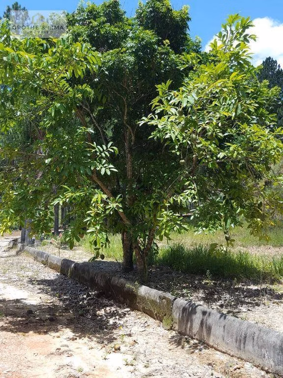 Sítio de 22 ha em São José dos Campos, SP