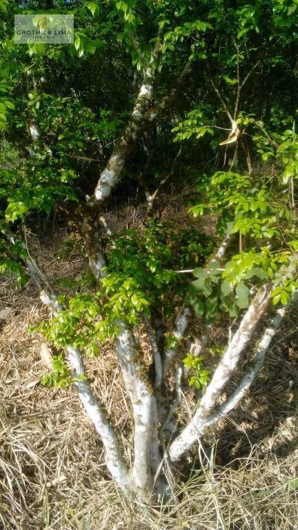 Sítio de 22 ha em São José dos Campos, SP