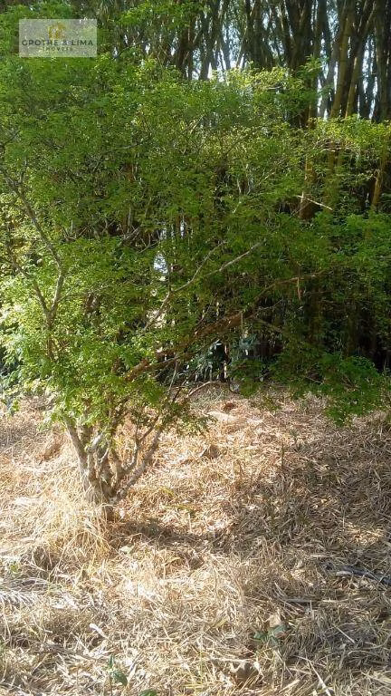 Sítio de 22 ha em São José dos Campos, SP
