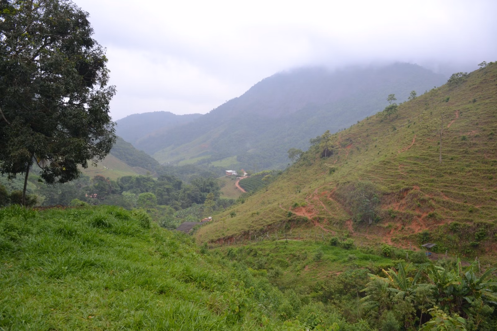 عزبة بمساحة ٤٠٦٬٠٠٠ m² في Santa Leopoldina، ES