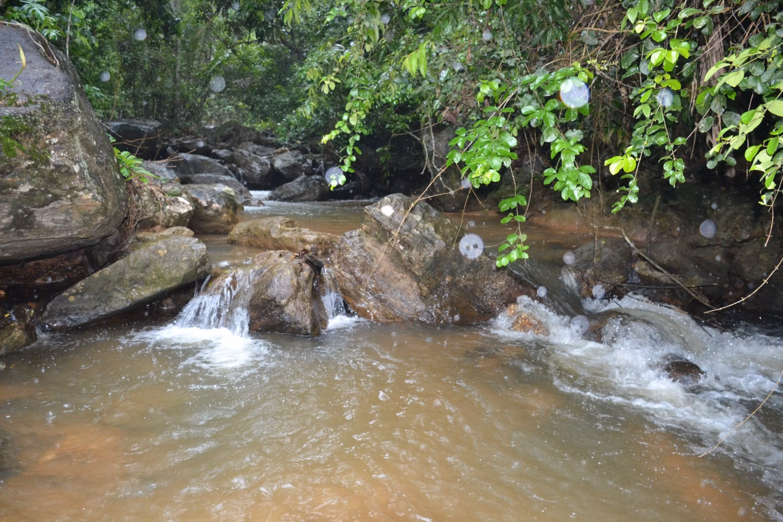 عزبة بمساحة ٤٠٦٬٠٠٠ m² في Santa Leopoldina، ES