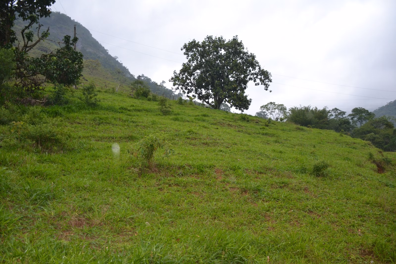 عزبة بمساحة ٤٠٦٬٠٠٠ m² في Santa Leopoldina، ES