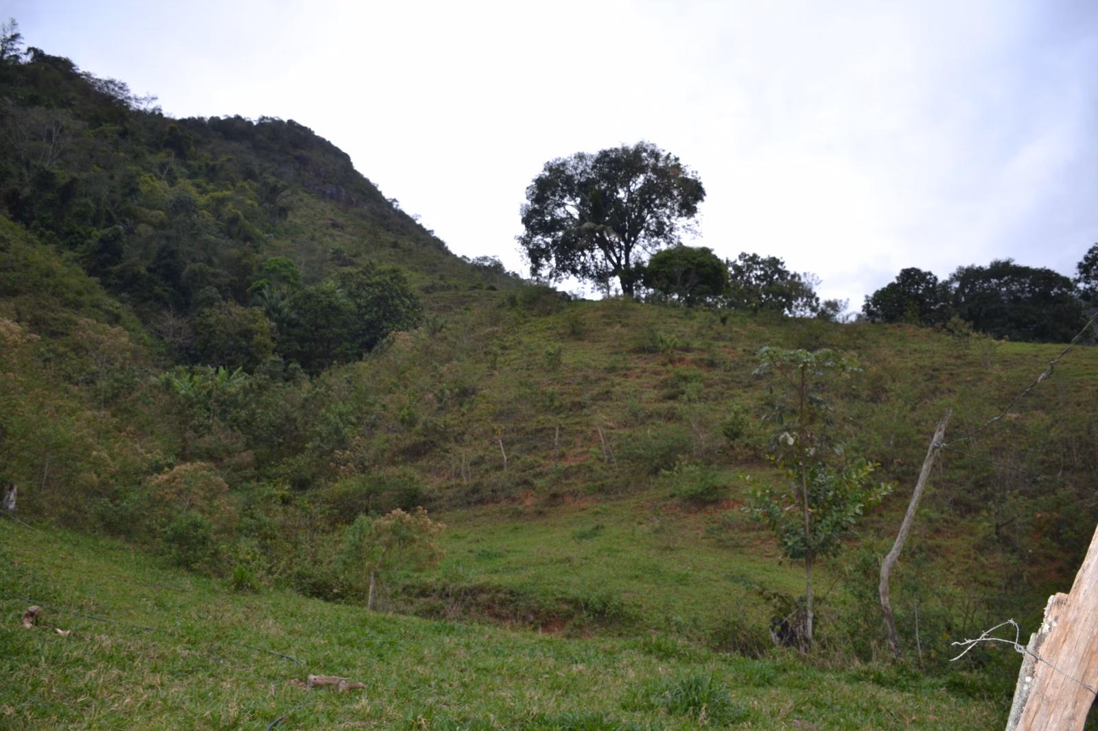 عزبة بمساحة ٤٠٦٬٠٠٠ m² في Santa Leopoldina، ES