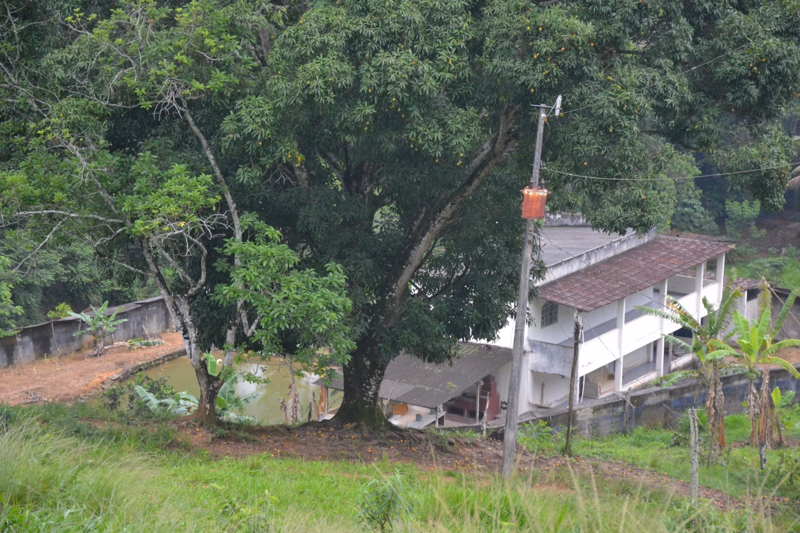 عزبة بمساحة ٤٠٦٬٠٠٠ m² في Santa Leopoldina، ES