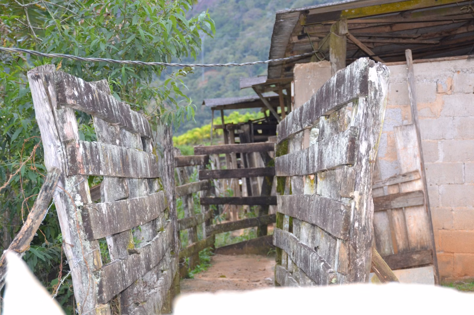 عزبة بمساحة ٤٠٦٬٠٠٠ m² في Santa Leopoldina، ES