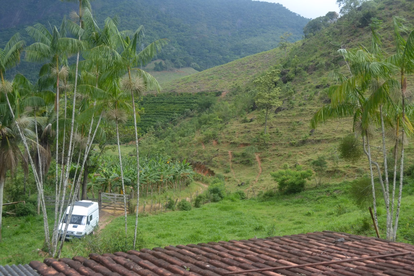 عزبة بمساحة ٤٠٦٬٠٠٠ m² في Santa Leopoldina، ES