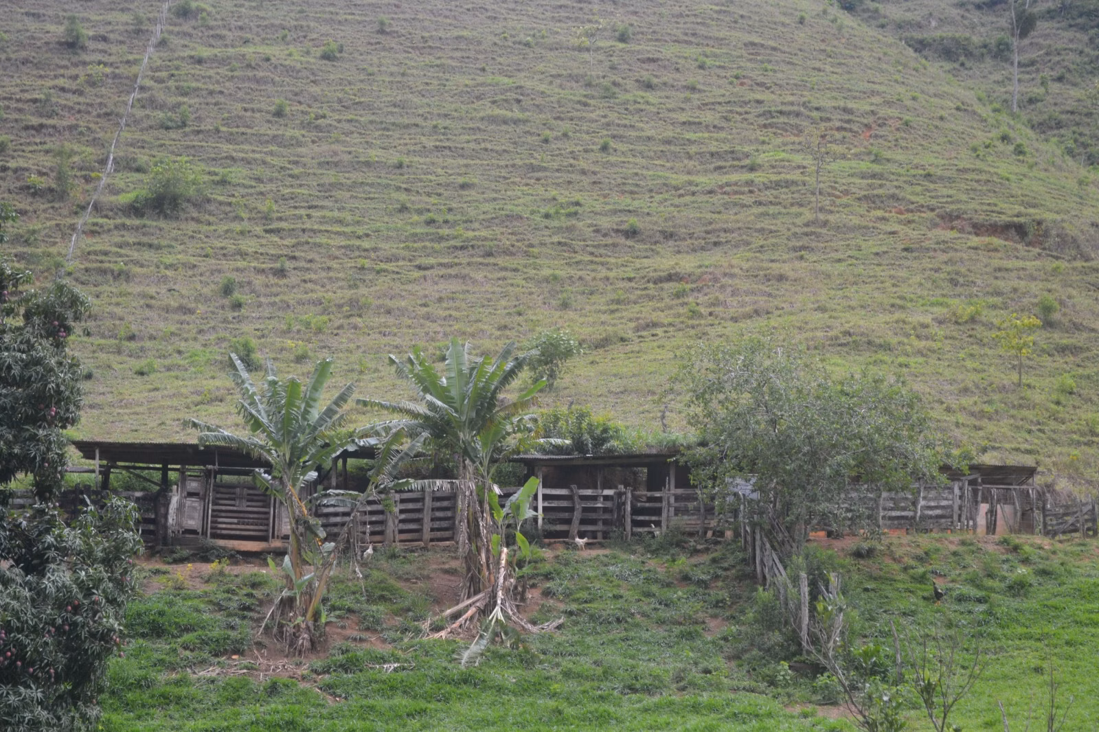 عزبة بمساحة ٤٠٦٬٠٠٠ m² في Santa Leopoldina، ES