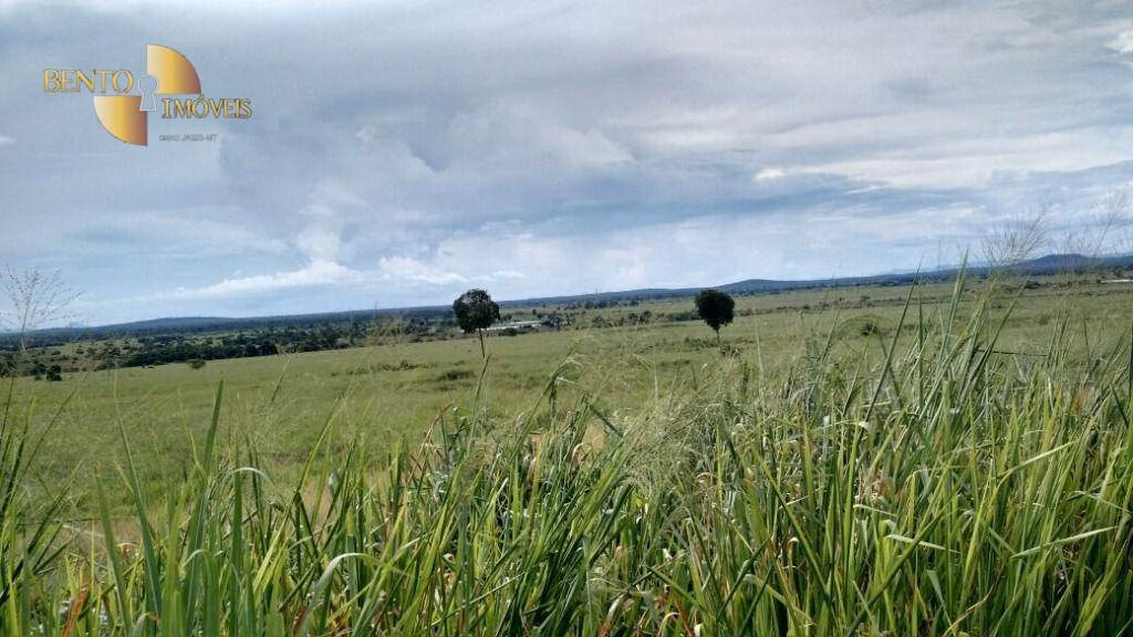 Fazenda de 15.000 ha em Cuiabá, MT