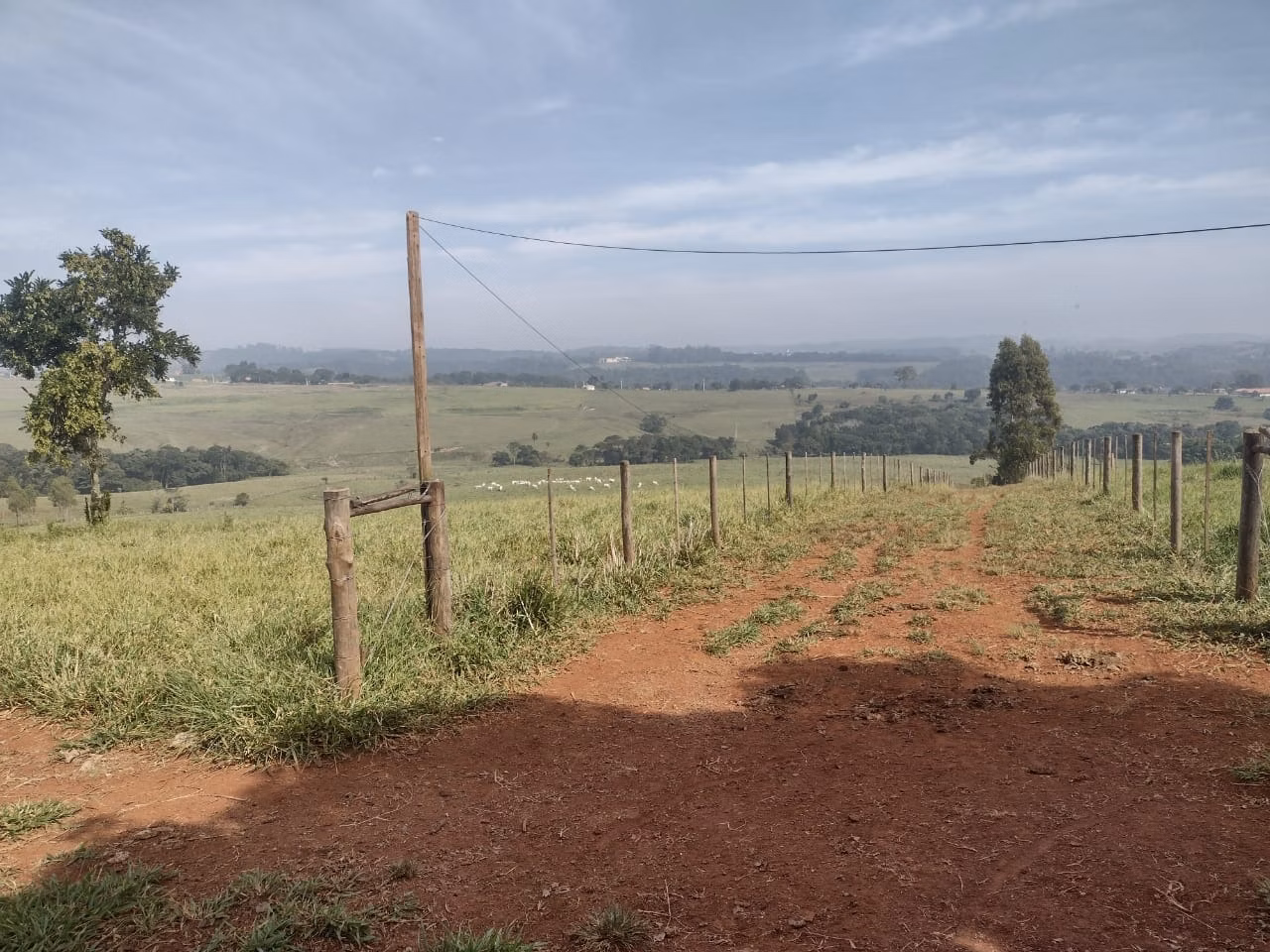 Small farm of 69 acres in Itapetininga, SP, Brazil