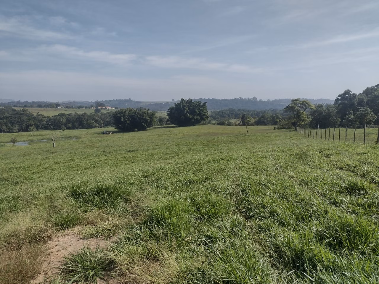 Small farm of 69 acres in Itapetininga, SP, Brazil