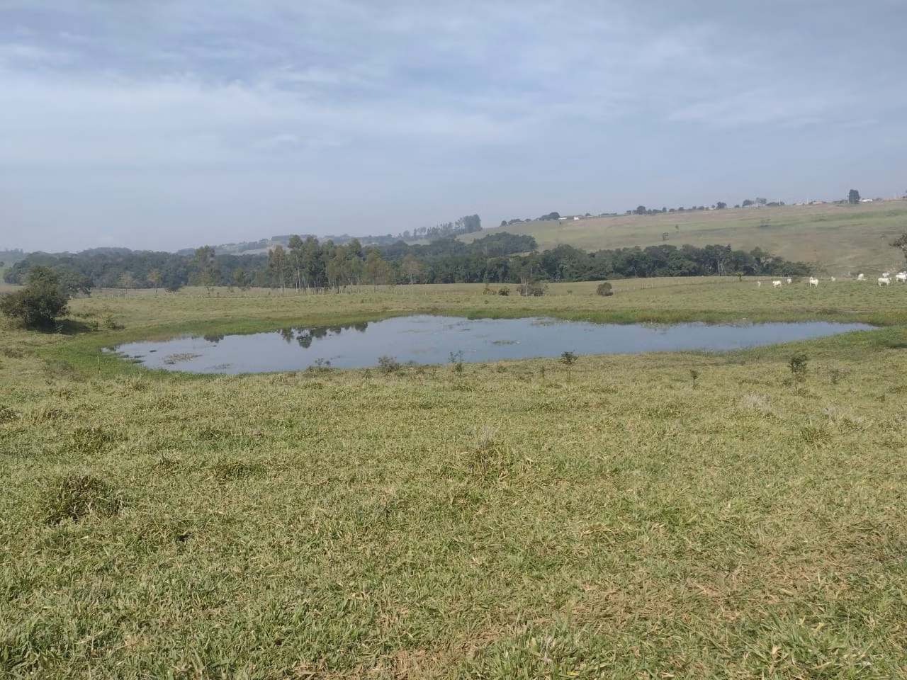 Small farm of 69 acres in Itapetininga, SP, Brazil
