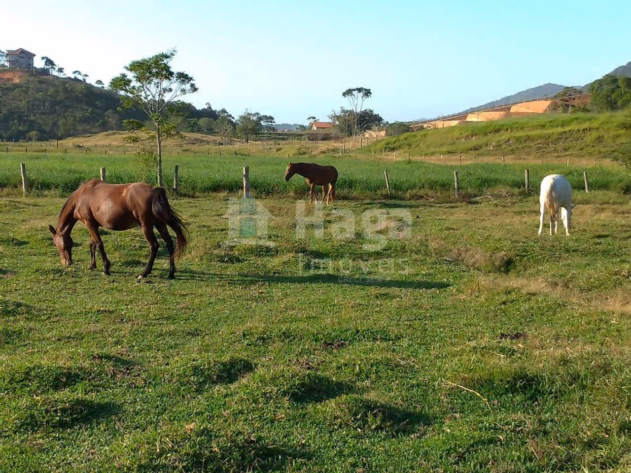 Chácara de 680 m² em Tijucas, SC