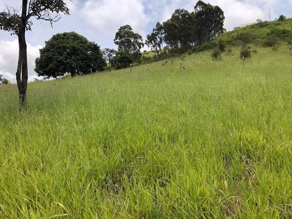 Terreno de 1.569 m² em Pouso Alegre, MG