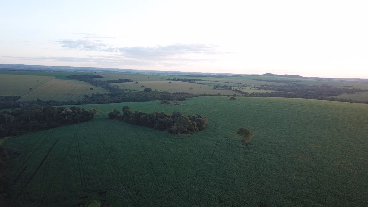 Fazenda de 390 ha em Piracanjuba, GO