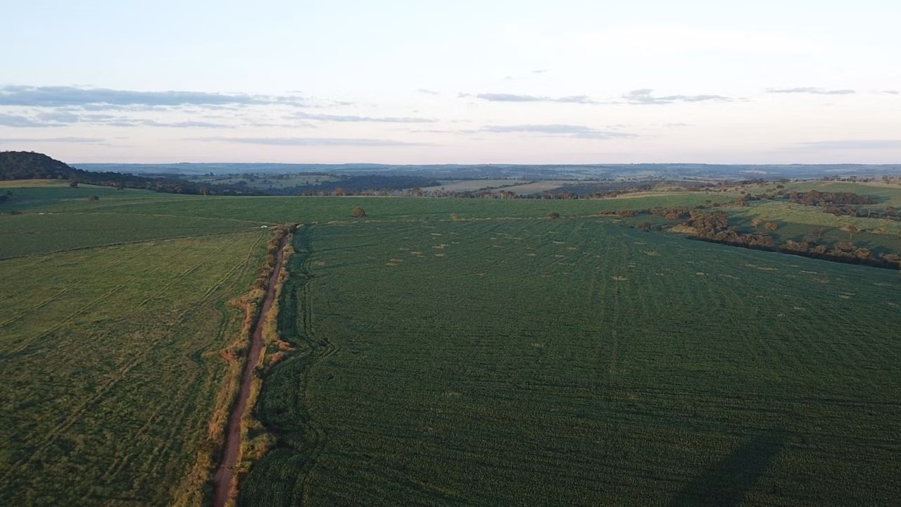 Fazenda de 390 ha em Piracanjuba, GO