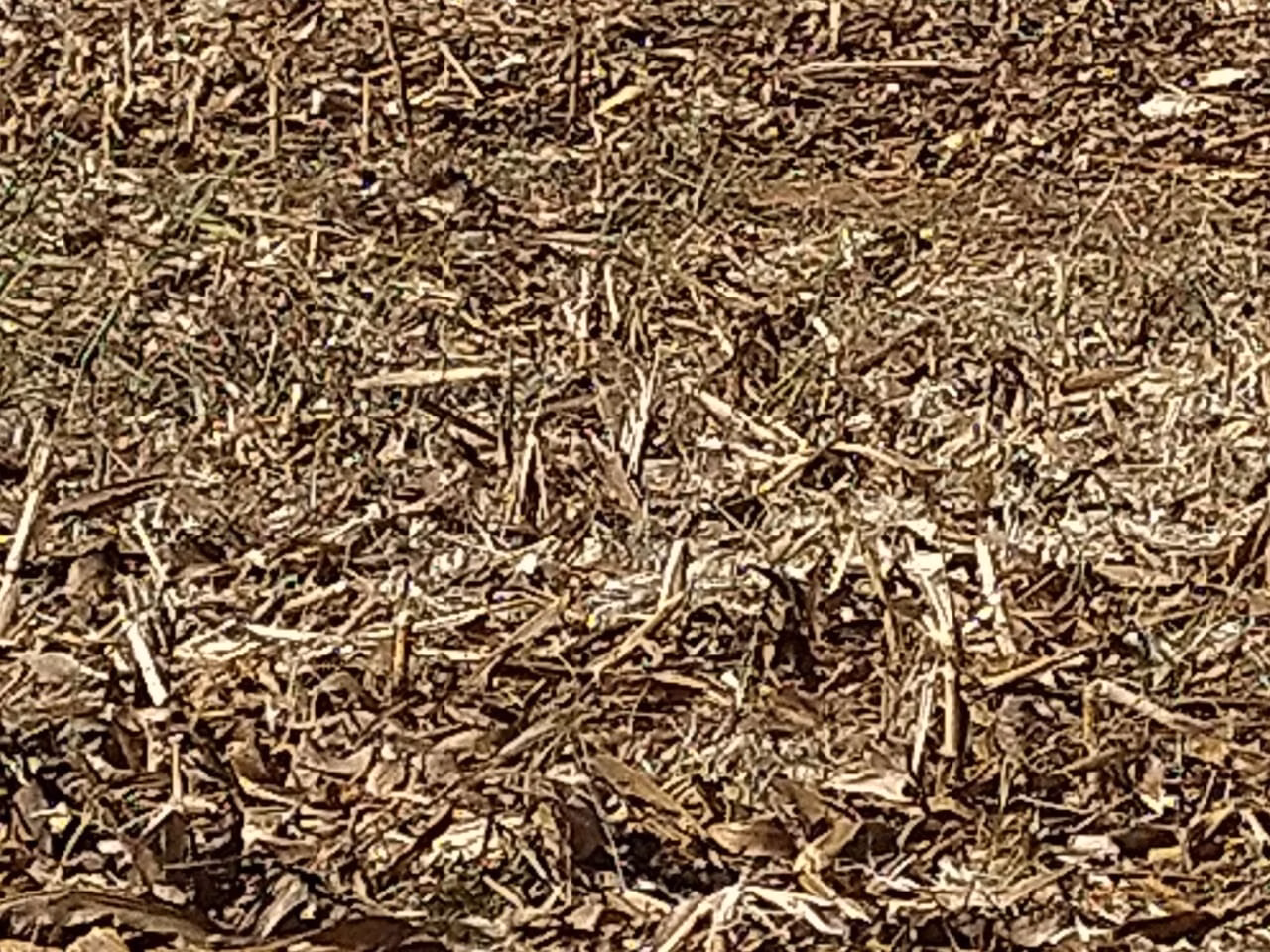 Fazenda de 390 ha em Piracanjuba, GO