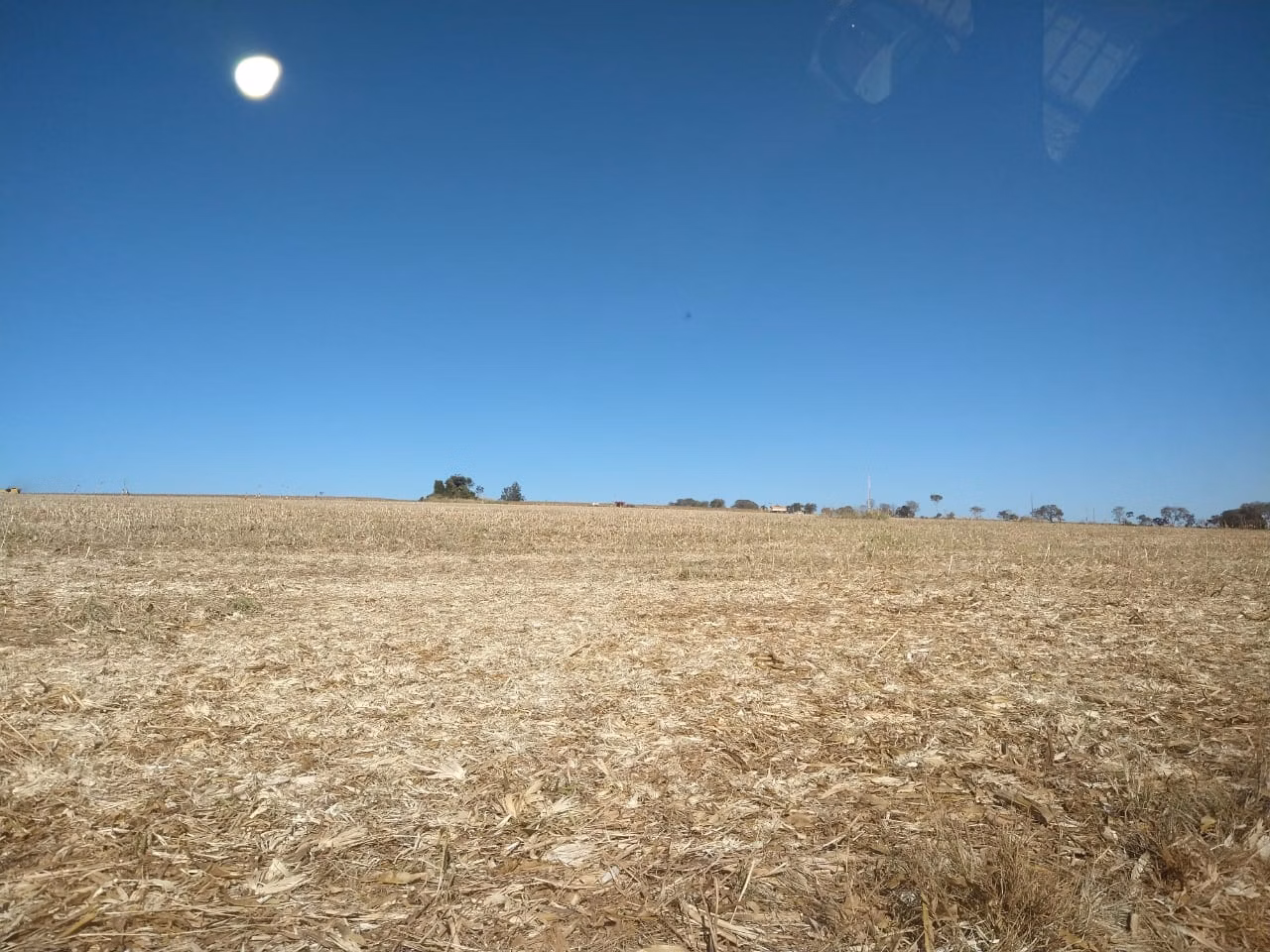 Fazenda de 390 ha em Piracanjuba, GO