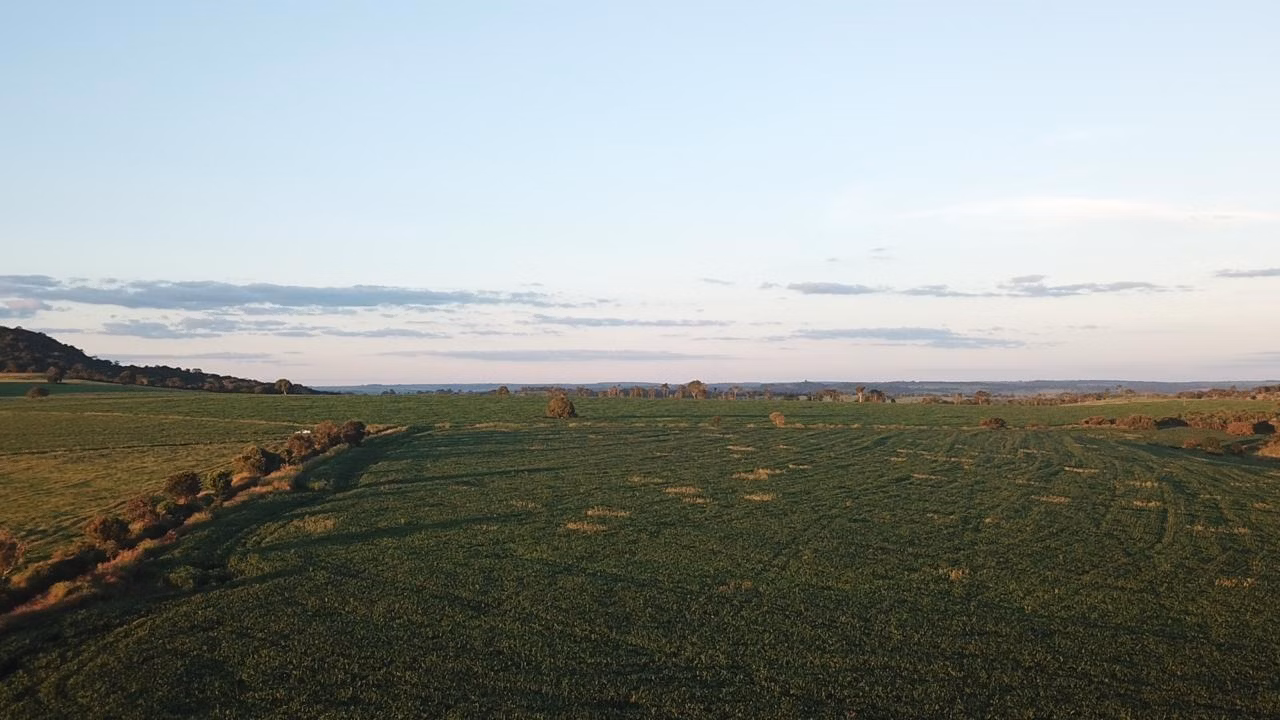 Fazenda de 390 ha em Piracanjuba, GO