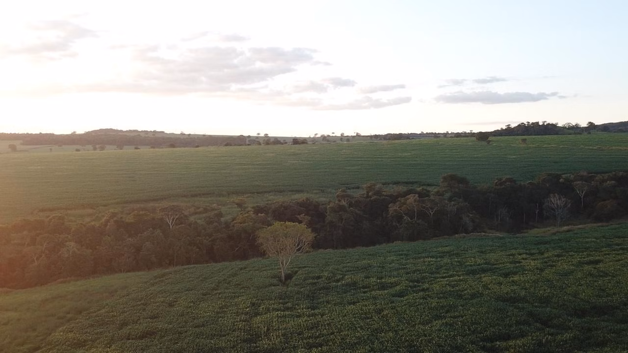 Fazenda de 390 ha em Piracanjuba, GO
