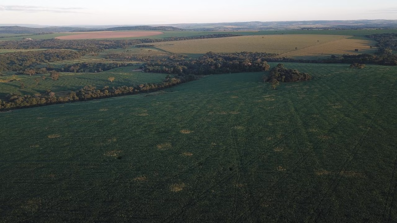 Fazenda de 390 ha em Piracanjuba, GO