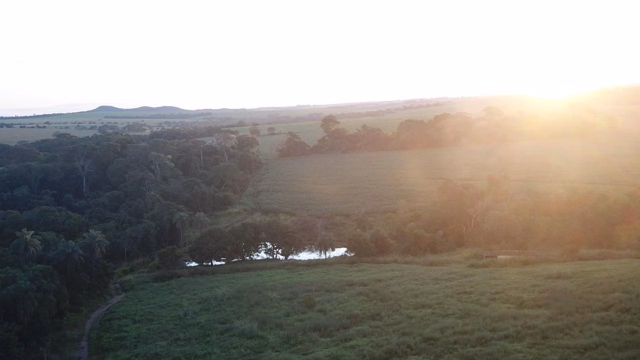 Fazenda de 390 ha em Piracanjuba, GO