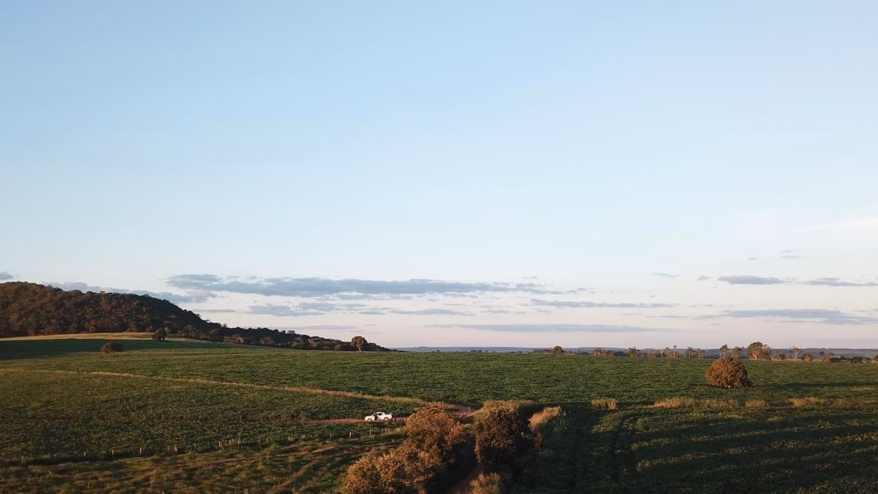 Fazenda de 390 ha em Piracanjuba, GO