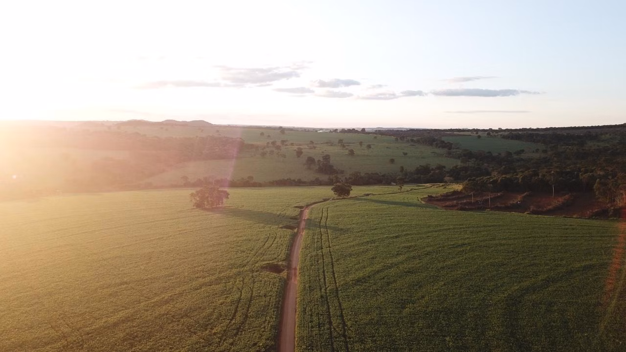 Fazenda de 390 ha em Piracanjuba, GO