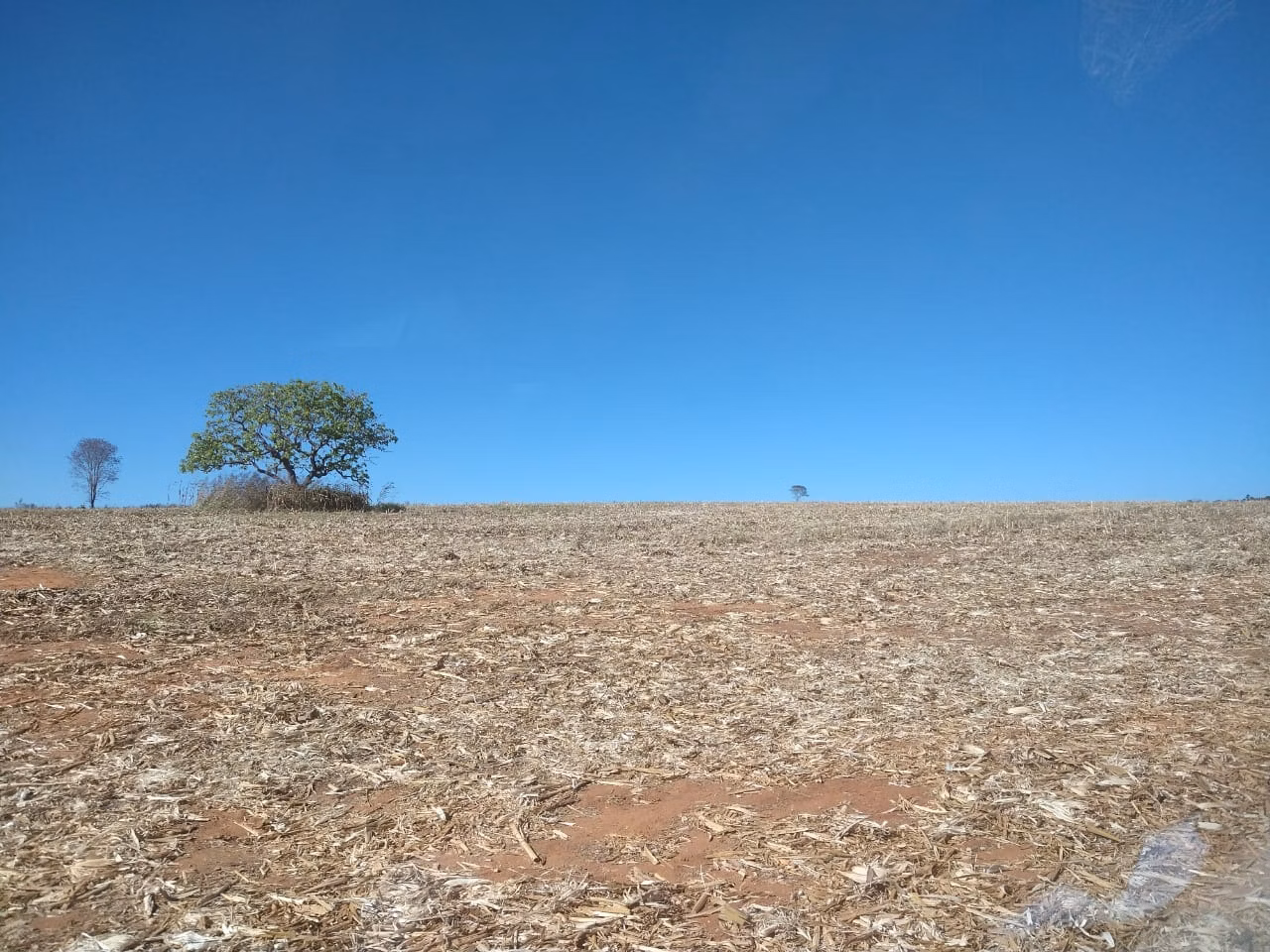 Fazenda de 390 ha em Piracanjuba, GO
