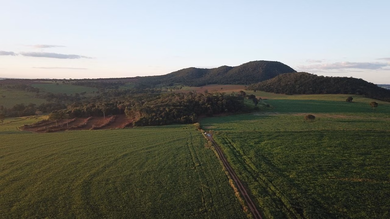Fazenda de 390 ha em Piracanjuba, GO