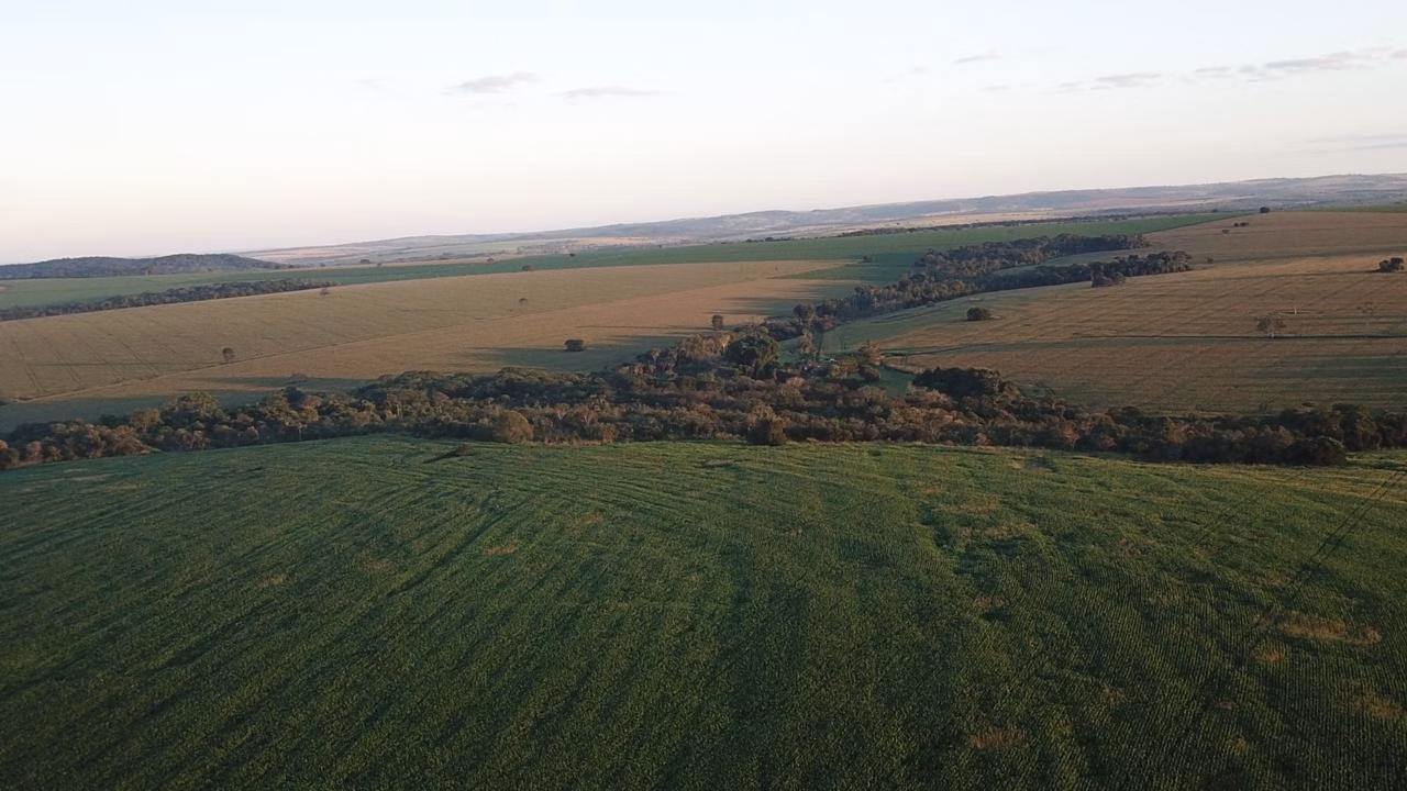 Fazenda de 390 ha em Piracanjuba, GO