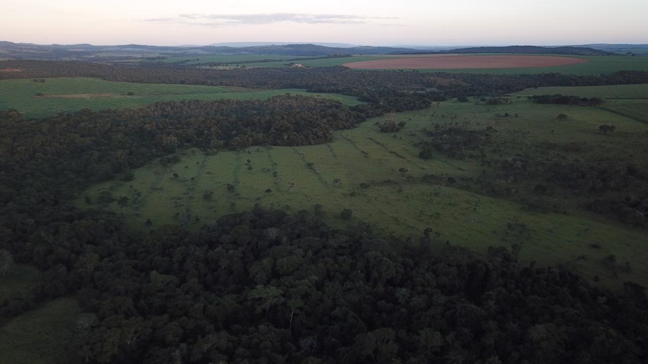 Fazenda de 390 ha em Piracanjuba, GO