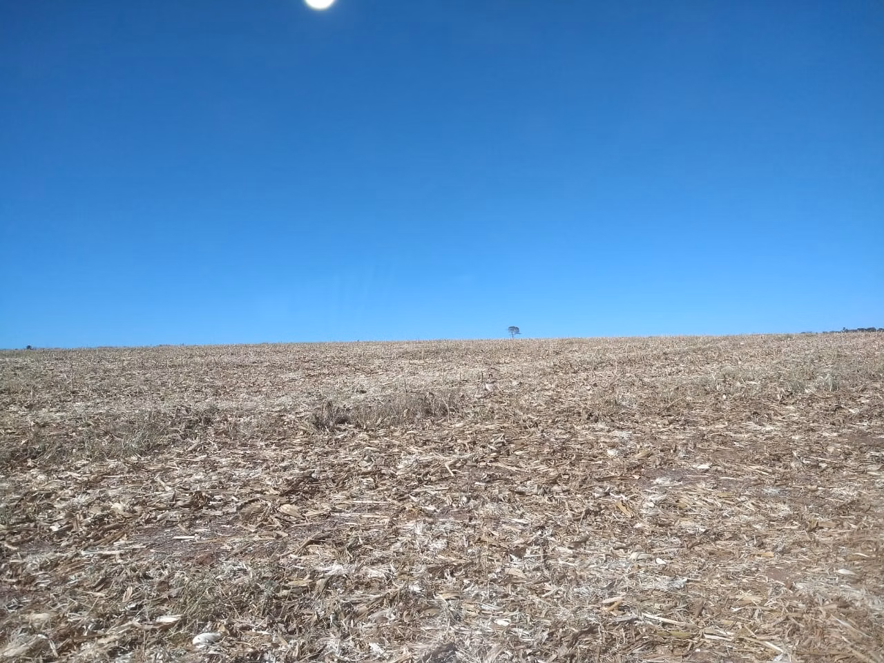 Fazenda de 390 ha em Piracanjuba, GO